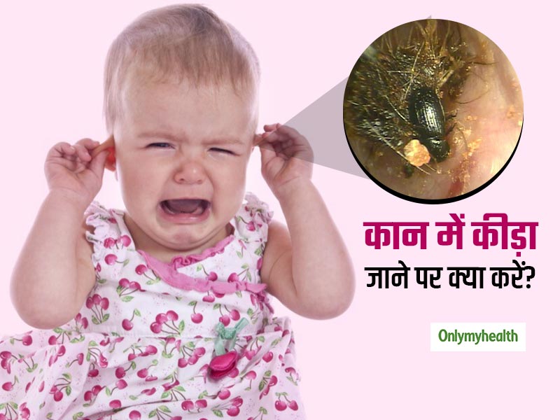 कान से घुसी तितली निकालते डॉक्टर का वीडियो वायरल, जानें कान में कीड़ा जाने पर कैसे निकालें इसे?