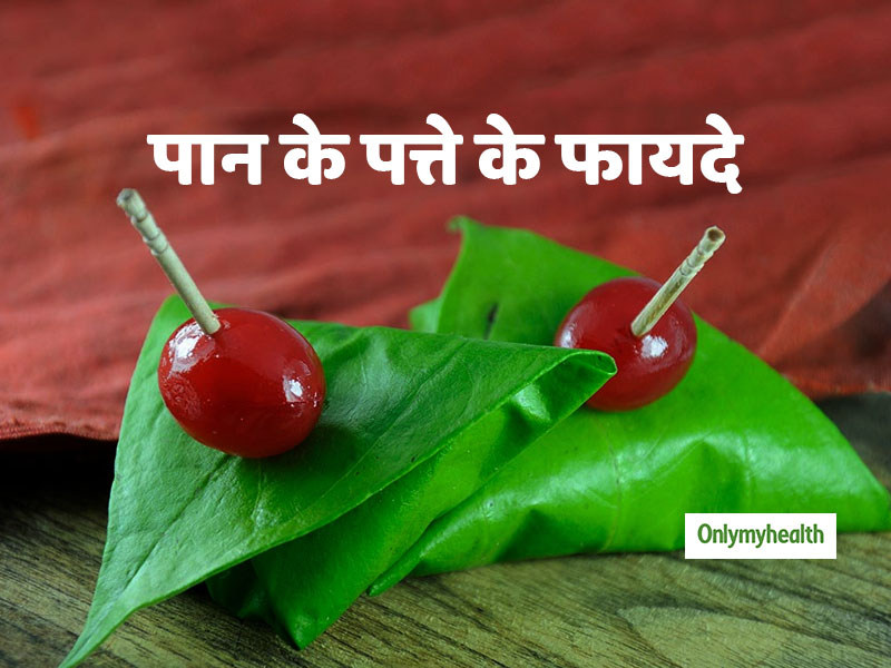 डायाबिटीज से लेकर कैंसर में सहायक है पान का पत्ता, जाने इसके अन्य स्वस्थ्य लाभ
