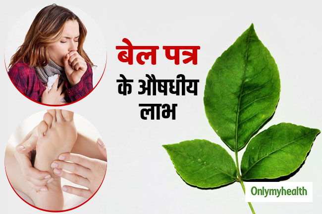 गर्मी से राहत देता बेल पत्र
