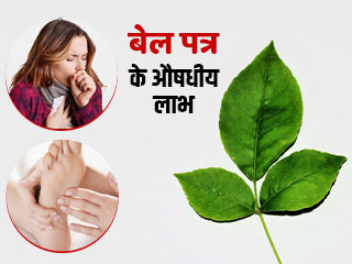 Sawan 2021: बेलपत्र है खांसी, जुकाम और चोट-मोच जैसी इन 5 समस्याओं का आसान घरेलू इलाज