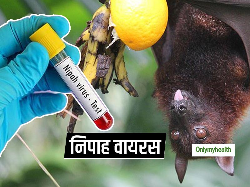 केरल में निपाह वायरस की हुई पुष्टि, 86 लोगों की देखरेख जारी, जानें क्या है निपाह