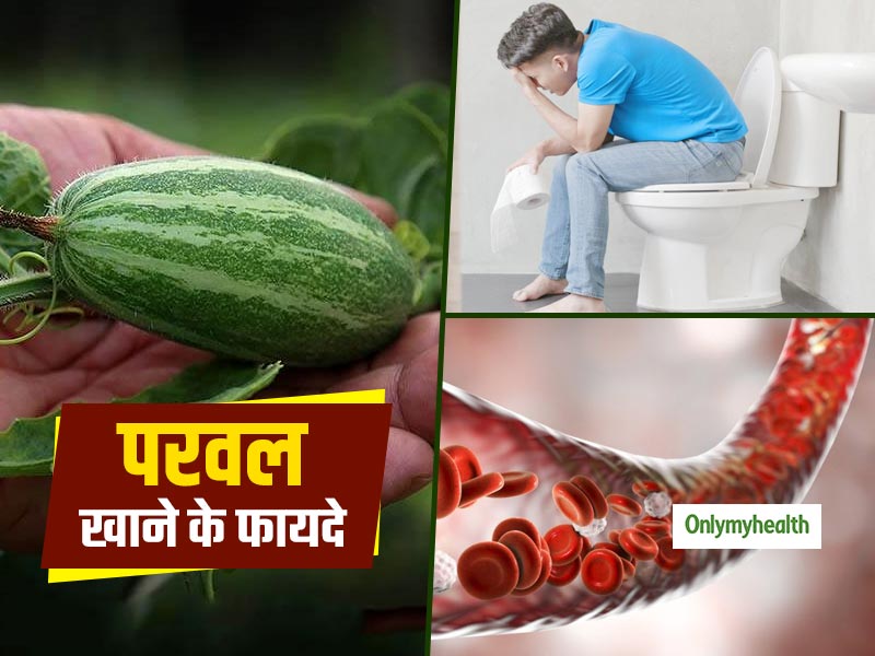 Pointed Gourd Benefits: परवल खाने से साफ होती है खून की गंदगी, कब्ज से मिलता है छुटकारा