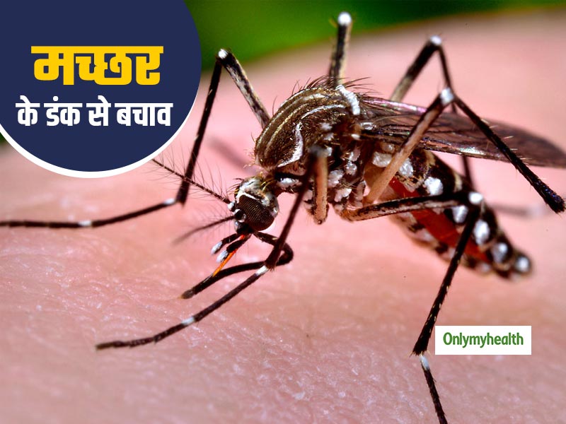 Mosquito Bites Remedies: मच्छर के काटने पर तुरंत करें ये 1 उपचार, मिनटों में मिलेगी राहत