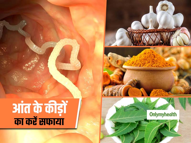 आंत के कीड़ों को हफ्ते भर में सफाया करती हैं ये 5 आयुर्वेदिक औषधियां, जानें सेवन का तरीका