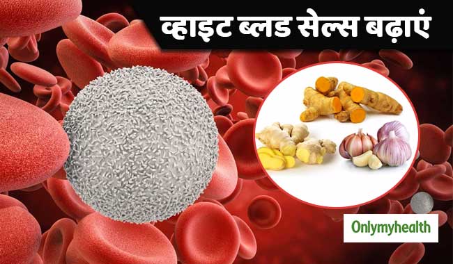 इन 6 फूड्स के सेवन से शरीर में बढ़ते हैं 'व्हाइट ब्लड सेल्स', दूर रहते हैं रोग