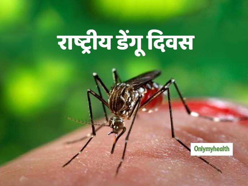National Dengue Day 2019 : डेंगू से जुड़े इन 10 सवालों के जवाब जरूर जान लें, बच जाएगी मरीज की जान