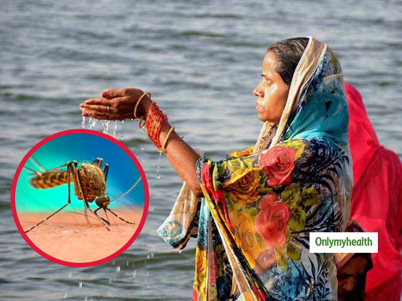 Chhath Puja 2019: How To Prevent Dengue Fever During Chhath Puja?