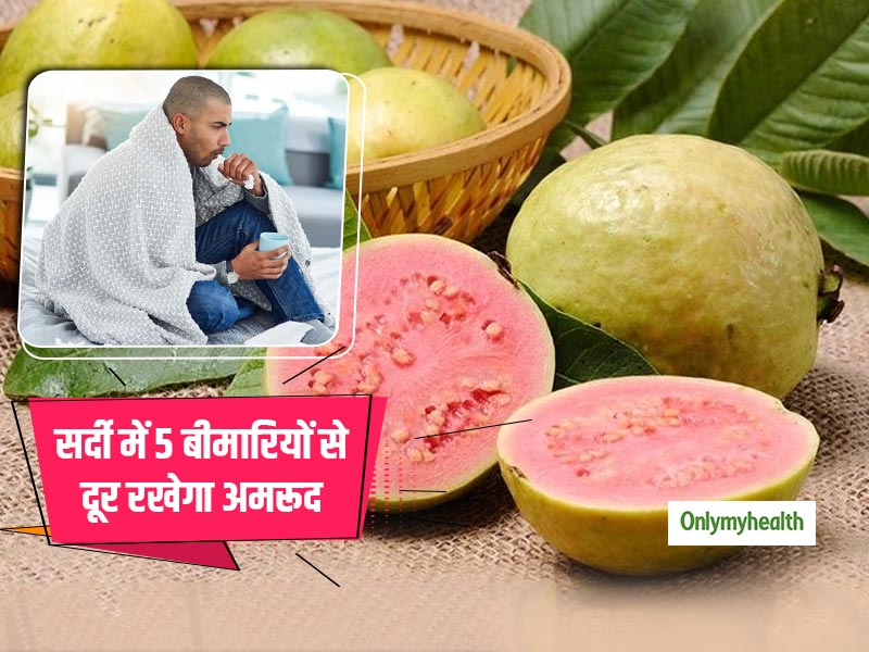 सर्दी में किसी 'वरदान' से कम नहीं 'अमरूद' 5 खतरनाक रोगों से रखता है दूर, जानें इसके अचूक फायदे