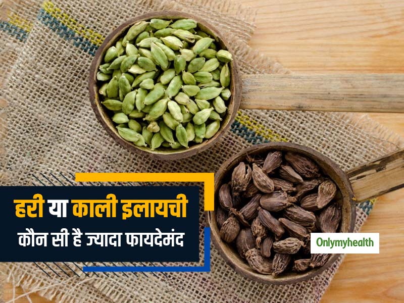 Green VS Black Cardamom: हरी या काली इलायची... कौन सी है ज्यादा फायदेमंद? जानें इनके बीच का अंतर