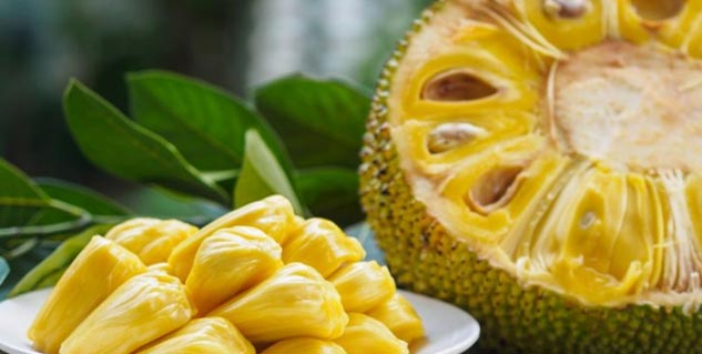 benefits of jack fruit floor