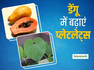 डेंगू बुखार होने पर प्लेटलेट्स बढ़ाना है, तो ऐसे करें गिलोय और पपीते के पत्तों का इस्तेमाल
