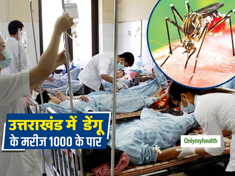Dengue Fever:उत्तराखंड में डेंगू से 6 की मौत, 1000 से ज्यादा लोग चपेट में, जाने लक्षण और इलाज