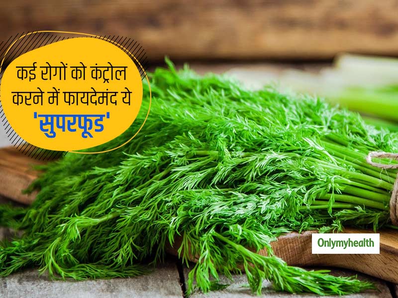 Dill Leaves : बढ़ते ब्लड शुगर लेवल से लेकर अनियमित पीरियड को कंट्रोल कर सकते हैं सोआ के पत्ते, जानें फायदे