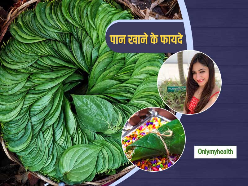 औषधीय गुणों से भरपूर हैं पान के पत्ते, डॉ. स्वाति बाथवाल से जानें स्वास्थ्य के लिए कैसे फायदेमंद है पान खाना