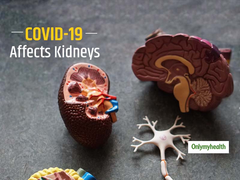 Coronavirus and Kidney Health: This Virus Cause Damage To The Kidneys