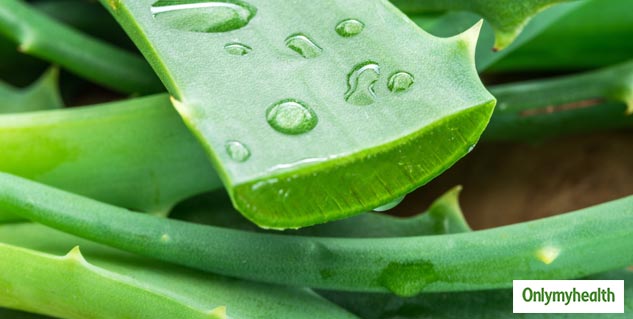 insidealoevera