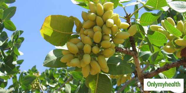 insidepistaforweightloss