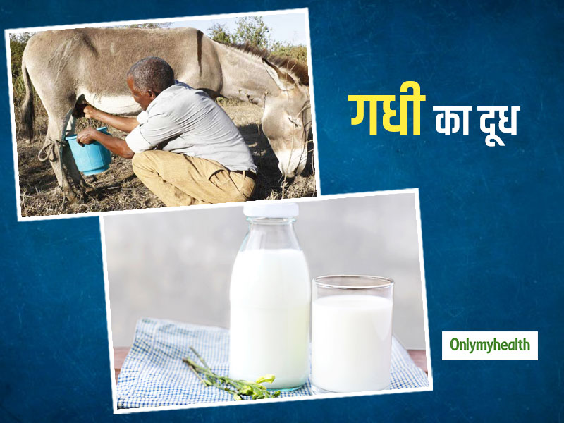 Donkey Milk Benefits: गधी का दूध पीकर बढ़ाएं अपनी इम्यूनिटी, आस-पास भी नहीं फटेंगी ये बीमारियां