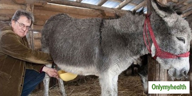 insidedonkeymilkhealthbenefits