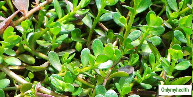 brahmi benefits in hindi