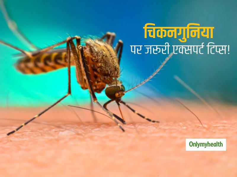 चिकनगुनिया के मरीजों का कैसा होना चाहिए आहार? एक्सपर्ट से जानें कैसे आसान हो सकता है चिकनगुनिया से बचाव