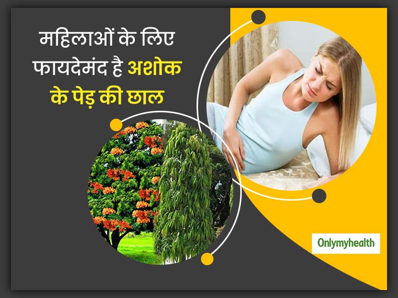 महिलाओं के लिए फायदेमंद है अशोक के पेड़ की छाल, अनियमित पीरियड्स और वेजाइनल डिस्चार्ज से मिलेगी राहत