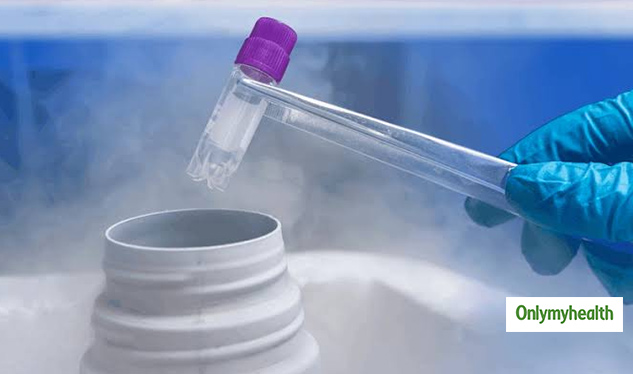 embryo freezing