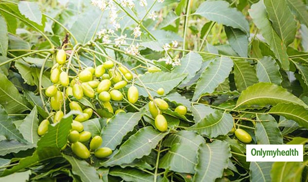 insideneemdisadvantages