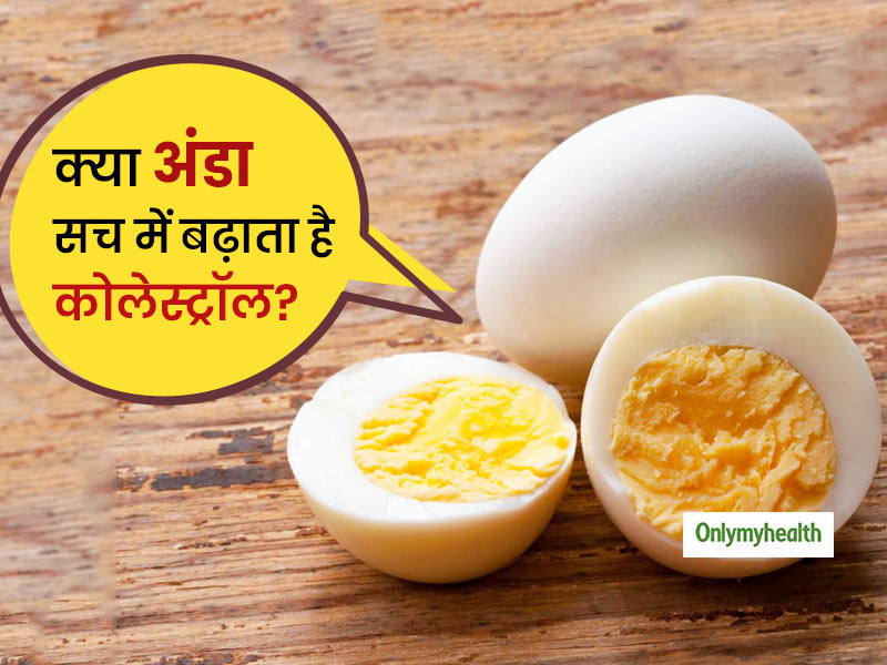 क्या रोजाना एक अंडा खाने से भी बढ़ जाता है कोलेस्ट्रॉल? जानें क्या कहती है लेटेस्ट रिसर्च