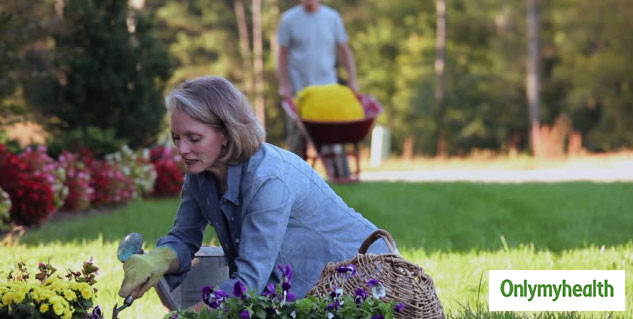 greenery and menopause