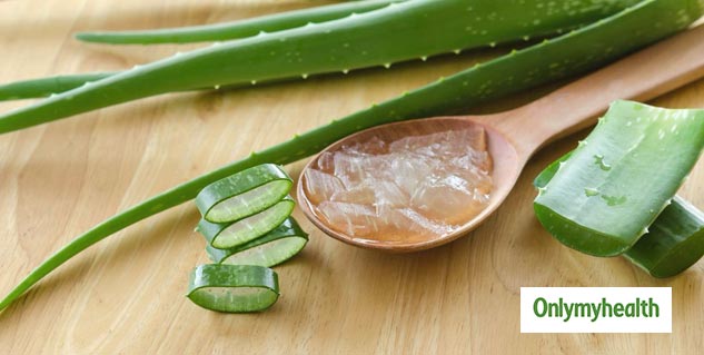 Aloe vera
