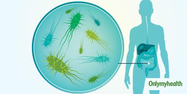 Gut Bacteria can cause Pulmonary Artery Hypertension