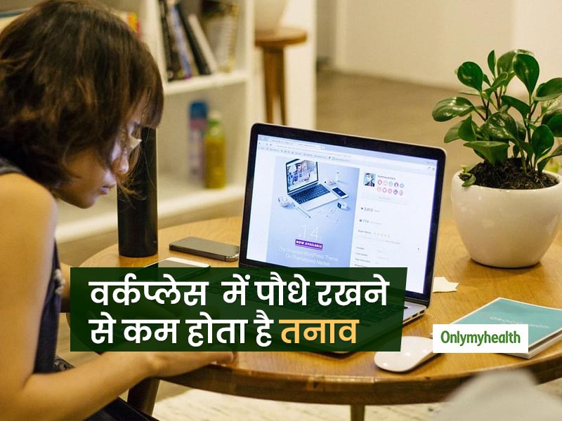 Plant Reducing Stress: तनाव को कम कर सकता है वर्किंग डेस्क पर पौधे रखना, अध्ययन में हुआ खुलासा