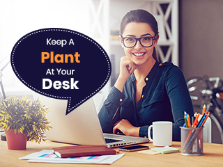 Keeping A Plant At Your Work Station May Help In Lowering Down Work Stress