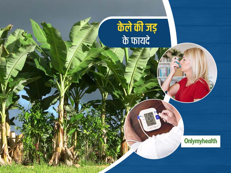 अस्थमा के मरीजों के लिए फायदेमंद है केले की जड़, जानें सेहत के लिए इसके अन्य स्वास्थ्य लाभ