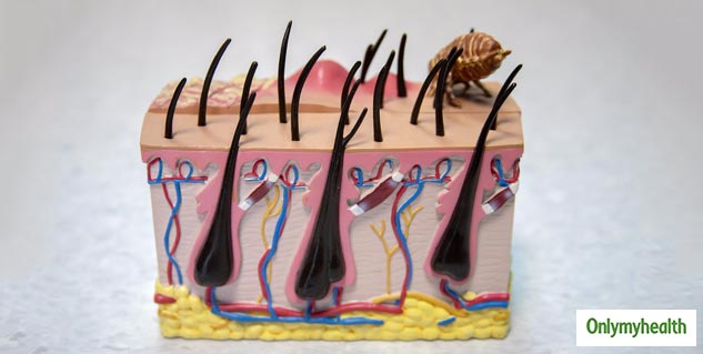 Ayurveda-Haircare-Secrets