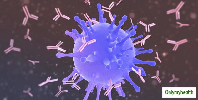 Antibody Fight Against Coronavirus