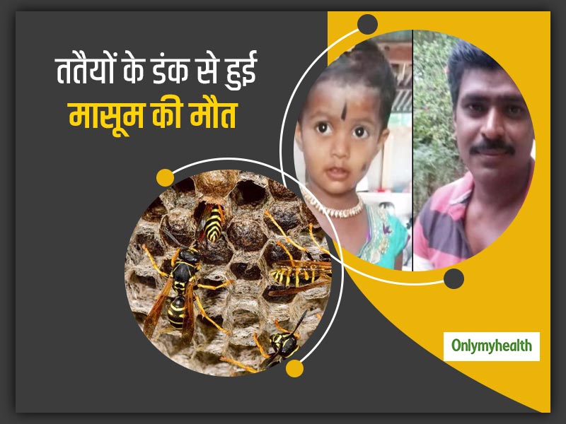 ततैयों के काटने से एक पिता और 3 साल की बच्ची की हुई मौत, जानें कितना खतरनाक होता है ततैयों का डंक