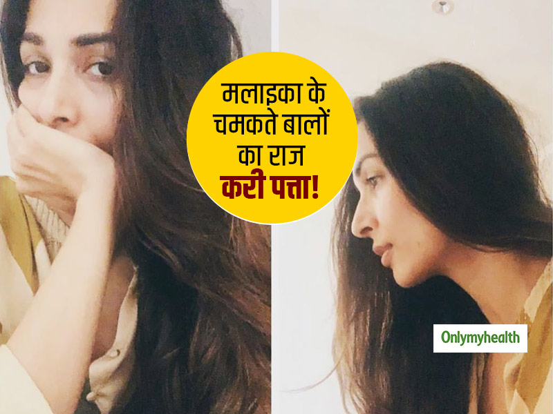 करी पत्ता-मेथी दाने और ये 3 तेल ढलती उम्र में मलाइका के बालों को दे रहे पोषण और चमक, जानें हेयर ब्यूटी सीक्रेट