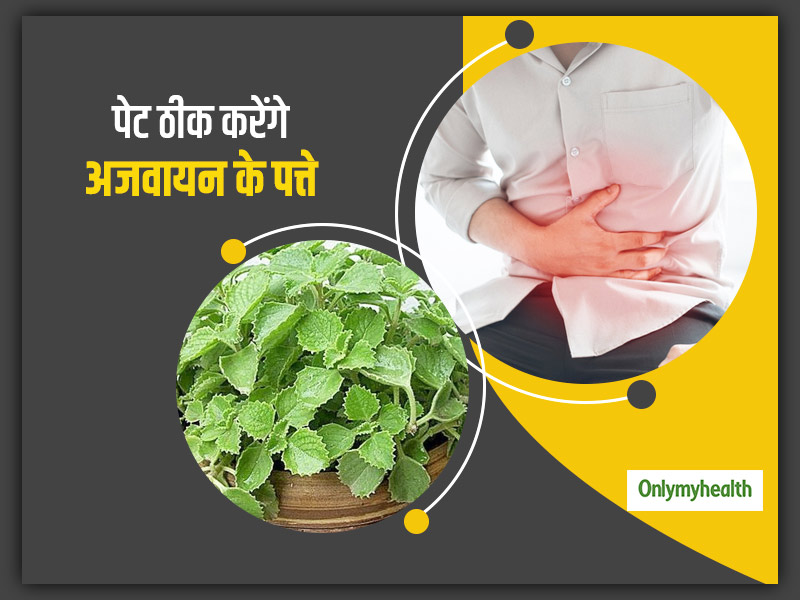 सुबह-शाम अजवायन के पत्तों को डीप फ्राई कर खाएं और पेट में गैस की समस्या को कहें बाय, दूर होंगी ये 2 परेशानी भी