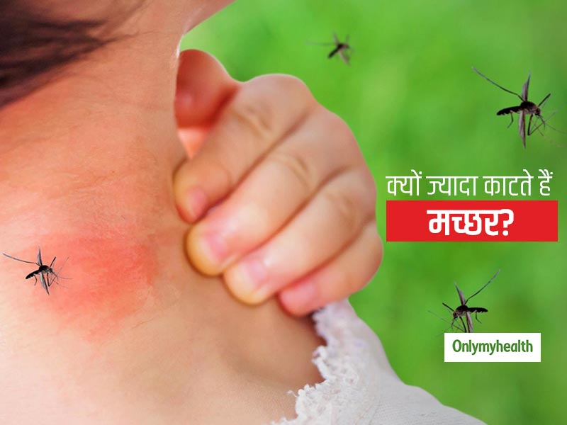 मच्छरों के मनपसंद शिकार होते हैं ये खास ब्लड ग्रुप वाले लोग, जानें क्यों कुछ लोगों को ज्यादा काटते हैं मच्छर?