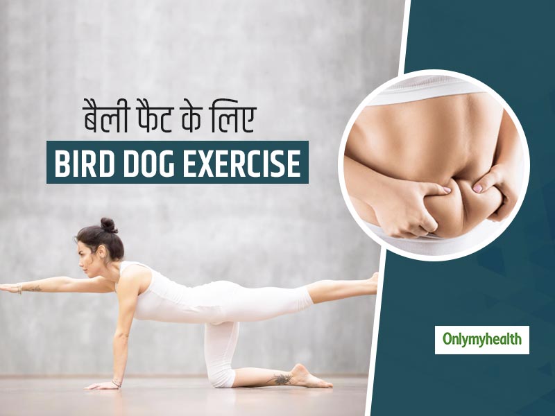 बैली फैट को कम करने में कारगार है Bird Dog Exercise, जानें क्या है और इसे करने का सही तरीका