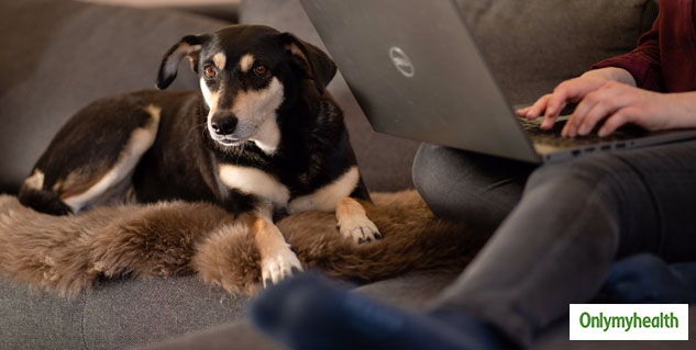 Sitting Long Hours Risk