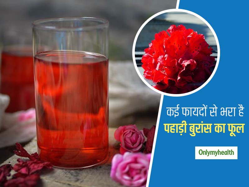 Health Benefits Of Burans: दिल से लेकर लिवर को स्वस्थ रखता है पहाड़ी बुरांश का जूस, जानें 5 फायदे