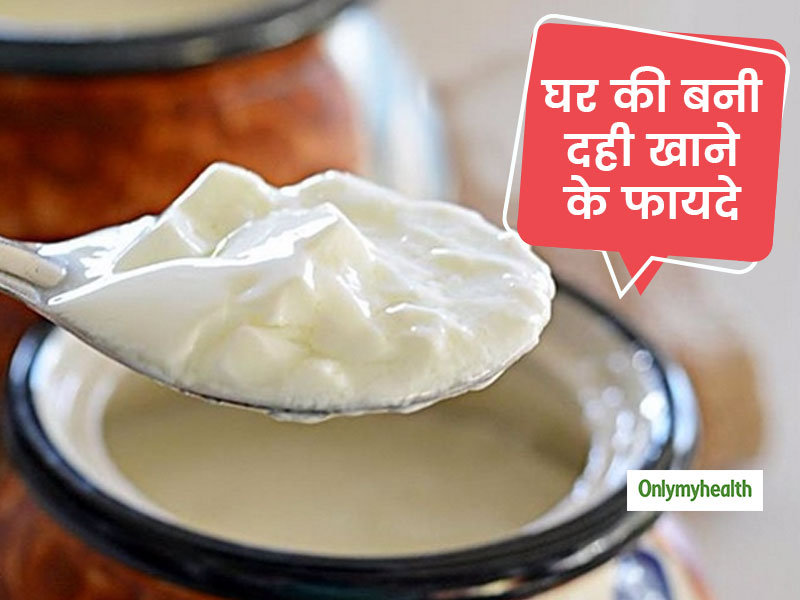 दही खाने से भी बढ़ती है रोग प्रतिरोधक क्षमता, पेट को हेल्दी रखते हैं इनमें मौजूद 'गुड बैक्टीरिया'
