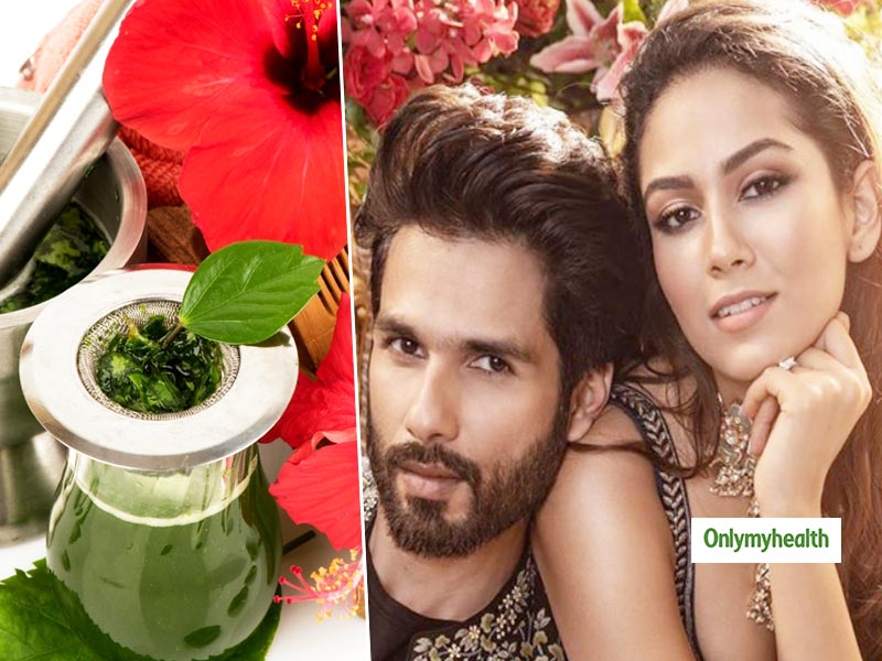 Summer Hair Care: डैंड्रफ का रामबाण इलाज है गुड़हल के फूलों से बना तेल, मीरा कपूर से जानें इसे बनाने का तरीका