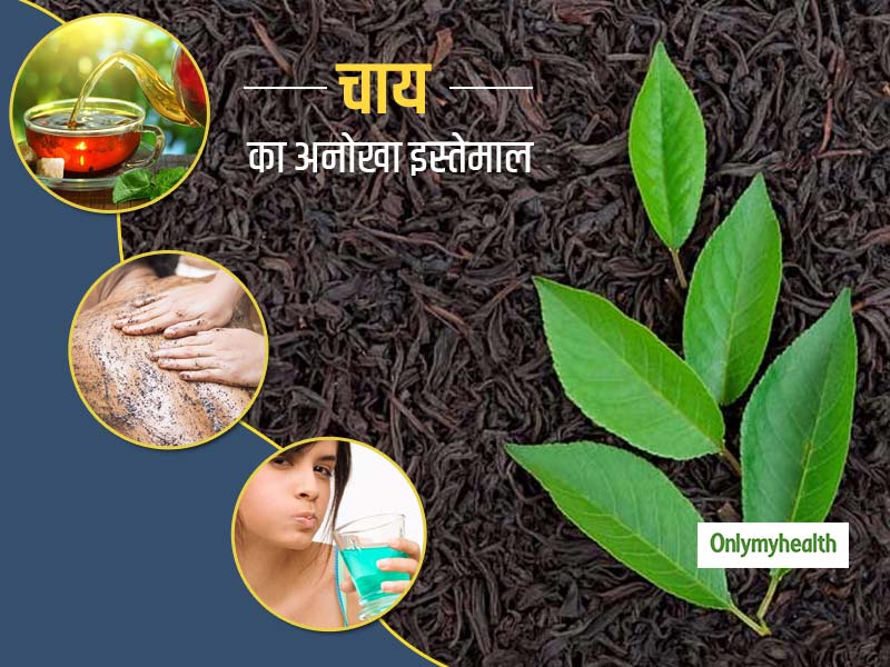 औषधीय गुणों से भरपूर है चाय, बॉडी स्क्रब से लेकर माउथवॉश तक जानें इसके 5 अनोखे इस्तेमाल