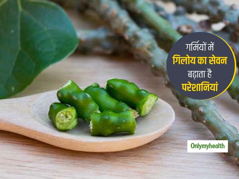 गर्मियों में गिलोय का सेवन बढ़ा सकता है शरीर की ये 3 परेशानियां, जानें शरीर को होने वाले फायदे और नुकसान