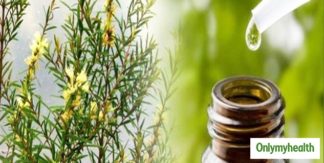 Tea tree oil Benefits