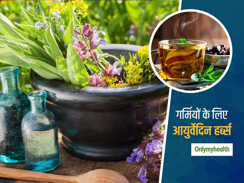 Summer Special: इन 5 आयुर्वेदिन हर्ब्स की मदद से गर्मी में ले सर्दी का असहास, जानें इस्तेमाल का तरीका और फायदे